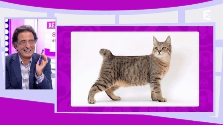 Une histoire de queue provoque un fou-rire ...