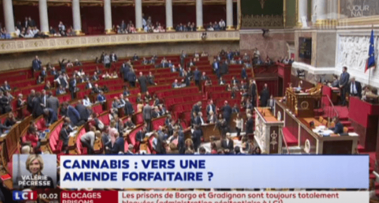[Zap Actu] La consommation de cannabis bientôt passible d'une simple amende (22/01/2018)