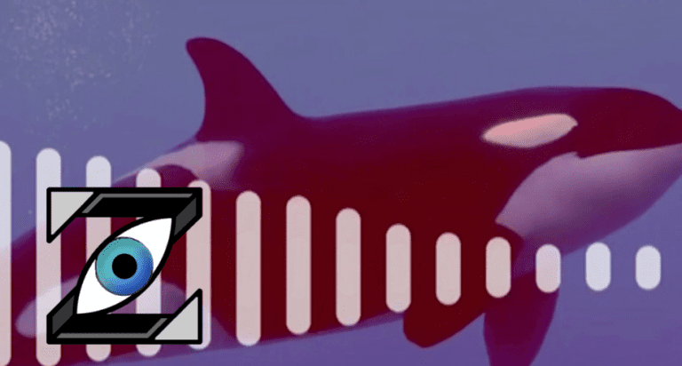 [Zap Télé] Wikie : une orque au talent insolite ! (02/02/18)