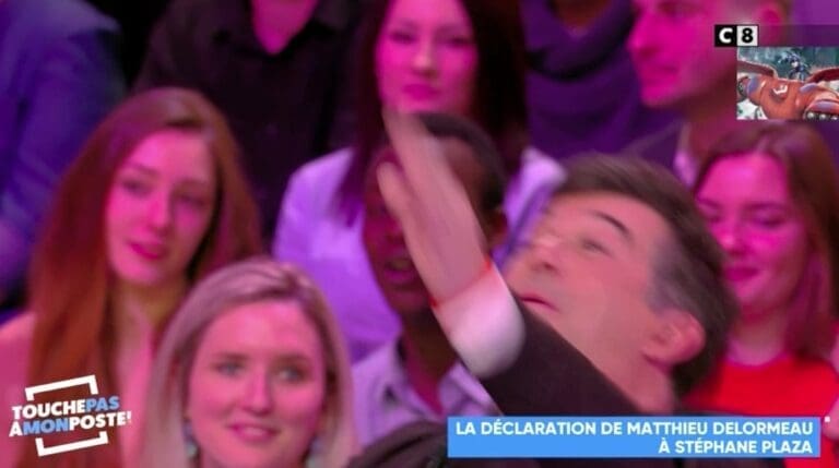 Matthieu Delormeau tente de séduire Stéphane Plaza ...