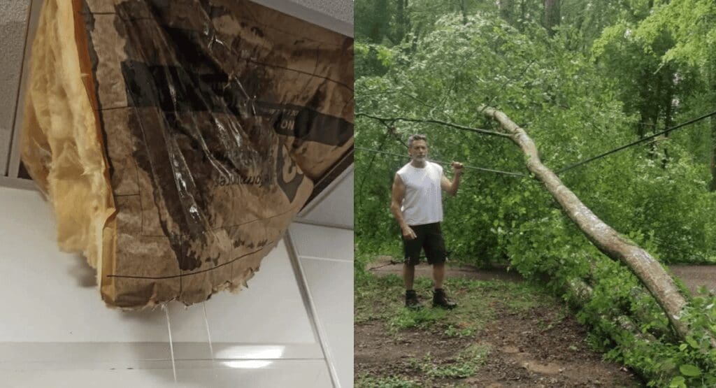 Les Dégâts Du Château De Gérard Vivès