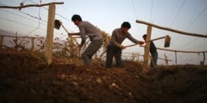 L’UE s’accorde pour bannir les produits issus du travail forcé