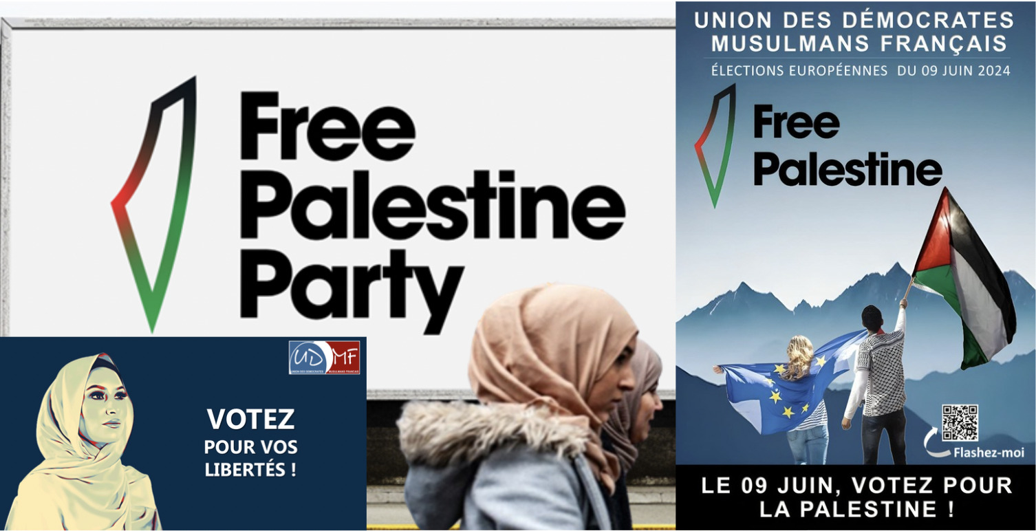 Européennes : Pro-Hamas, anti-LGBT… Qu’est-ce que la liste « Free Palestine Party » ?