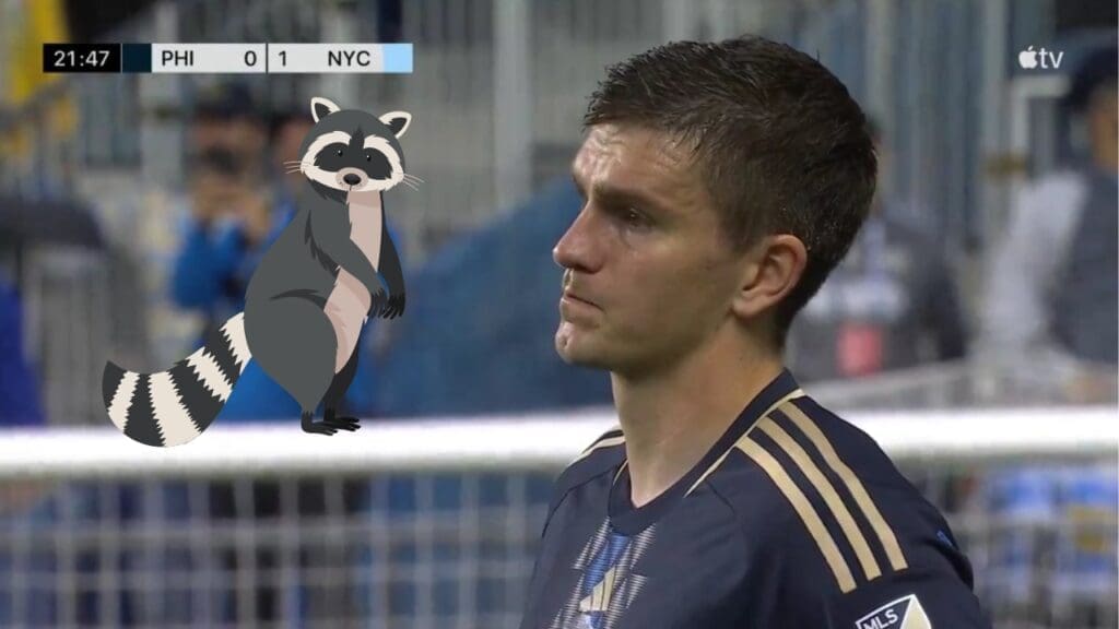 RATON LAVEUR MLS FOOT