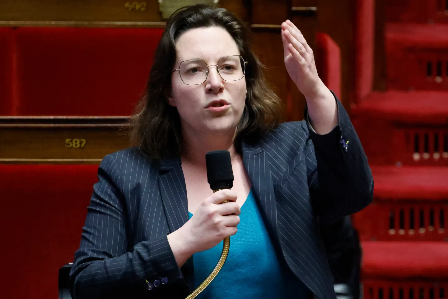Cyrielle Chatelain, une candidate possible pour la présidence de l'Assemblée nationale