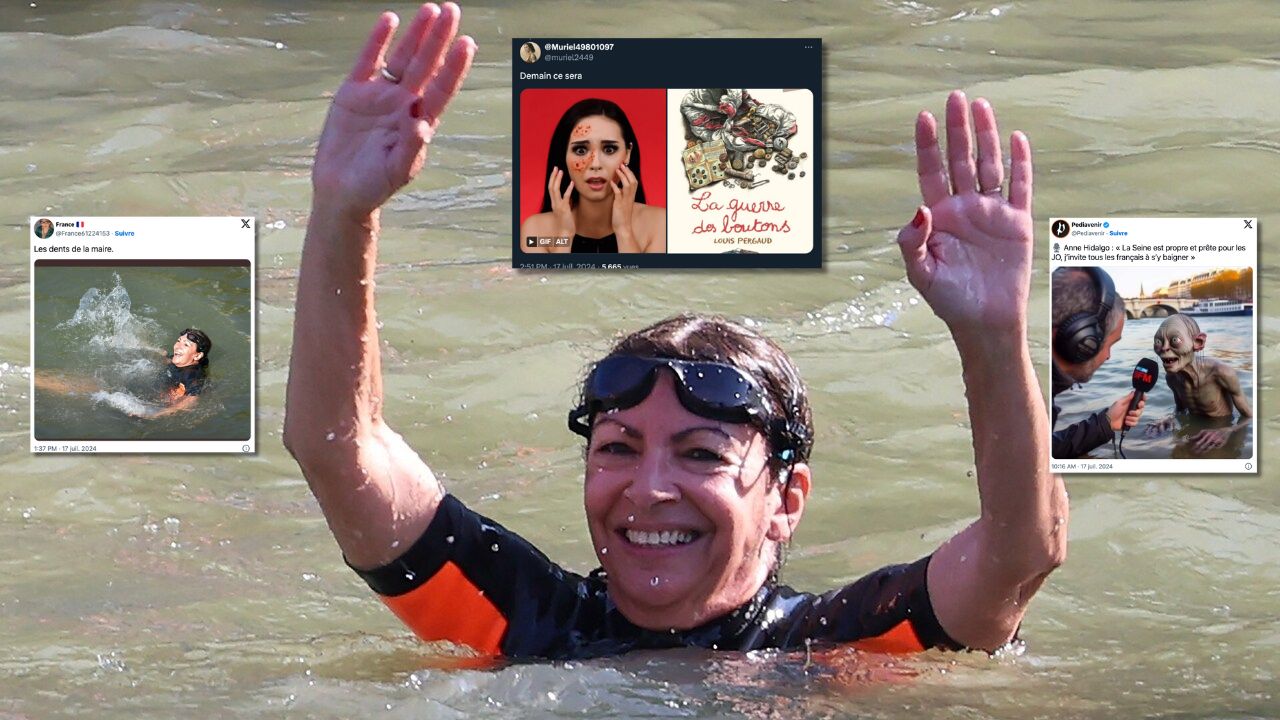 Anne Hidalgo plonge dans la Seine : Les meilleurs (et pires) détournements