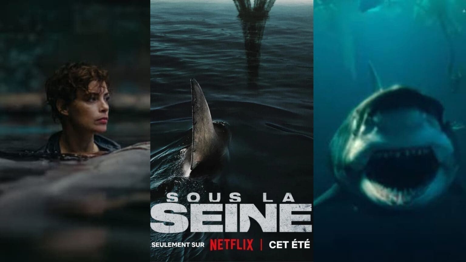 Sous la Seine