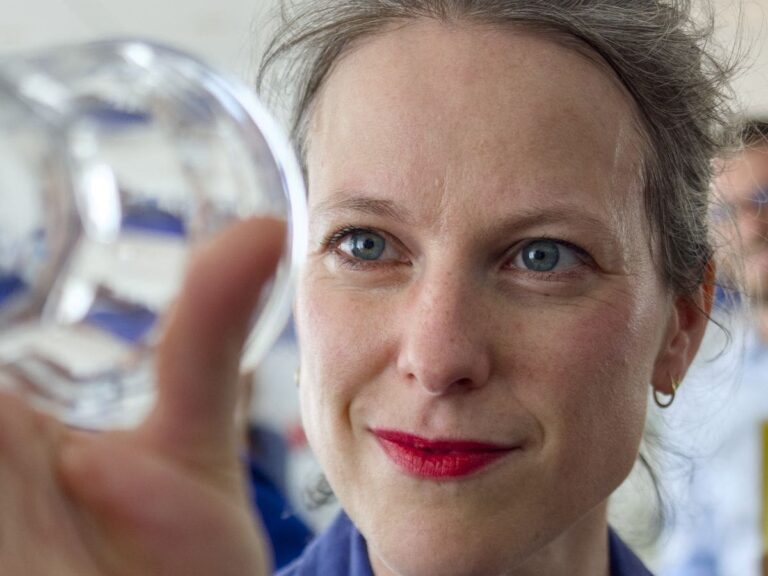 Lucie Castets répond aux accusations de conflit d'intérêts et de manquement au devoir de réserve