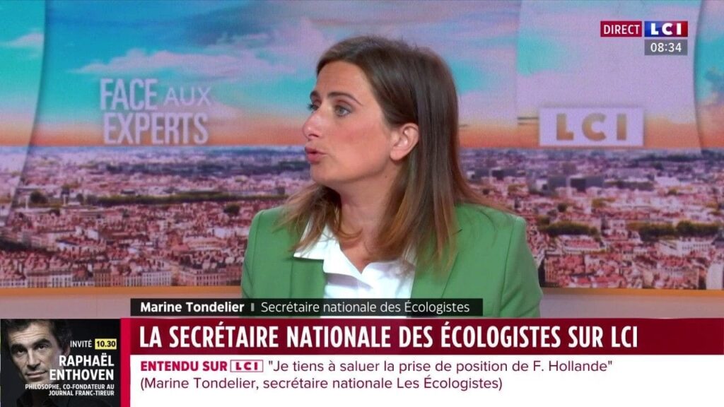 les-ecologistes-se-joindront-a-la-manifestation-du-7-septembre-annonce-marine-tondelier-sur-lci-817937-0@1x