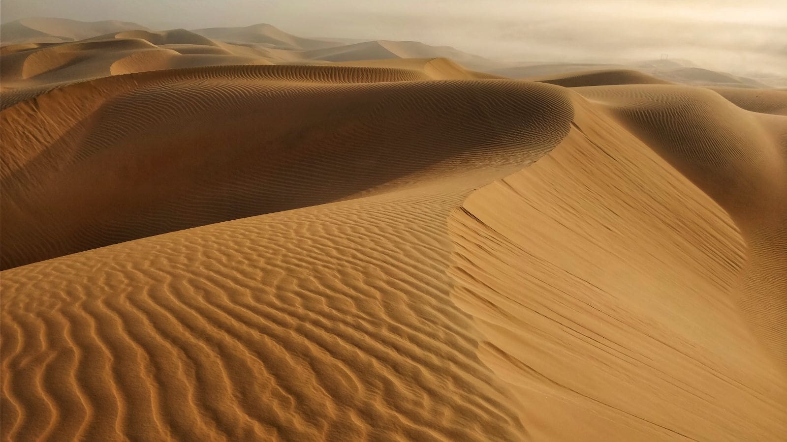 Le désert de Liwa, le plus grand désert du monde. @Photo: Jessica Pierné