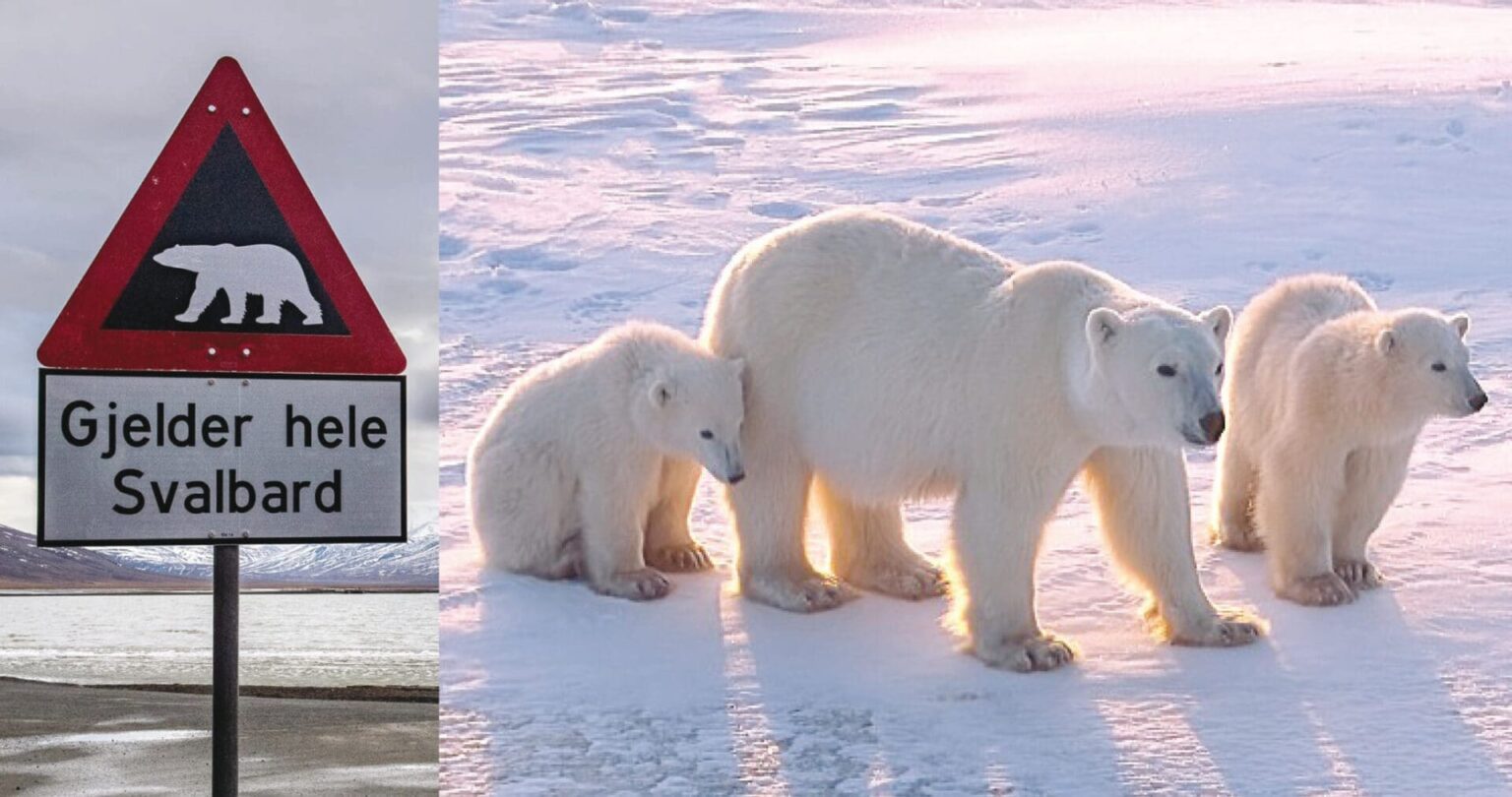 Pole Nord Par jessica Pierné