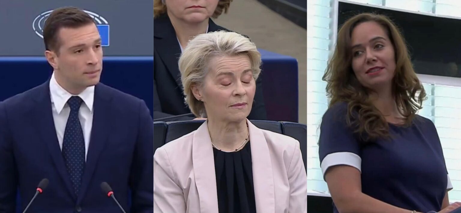 WhatsApp Image 2024-11-27 at 15.22.01