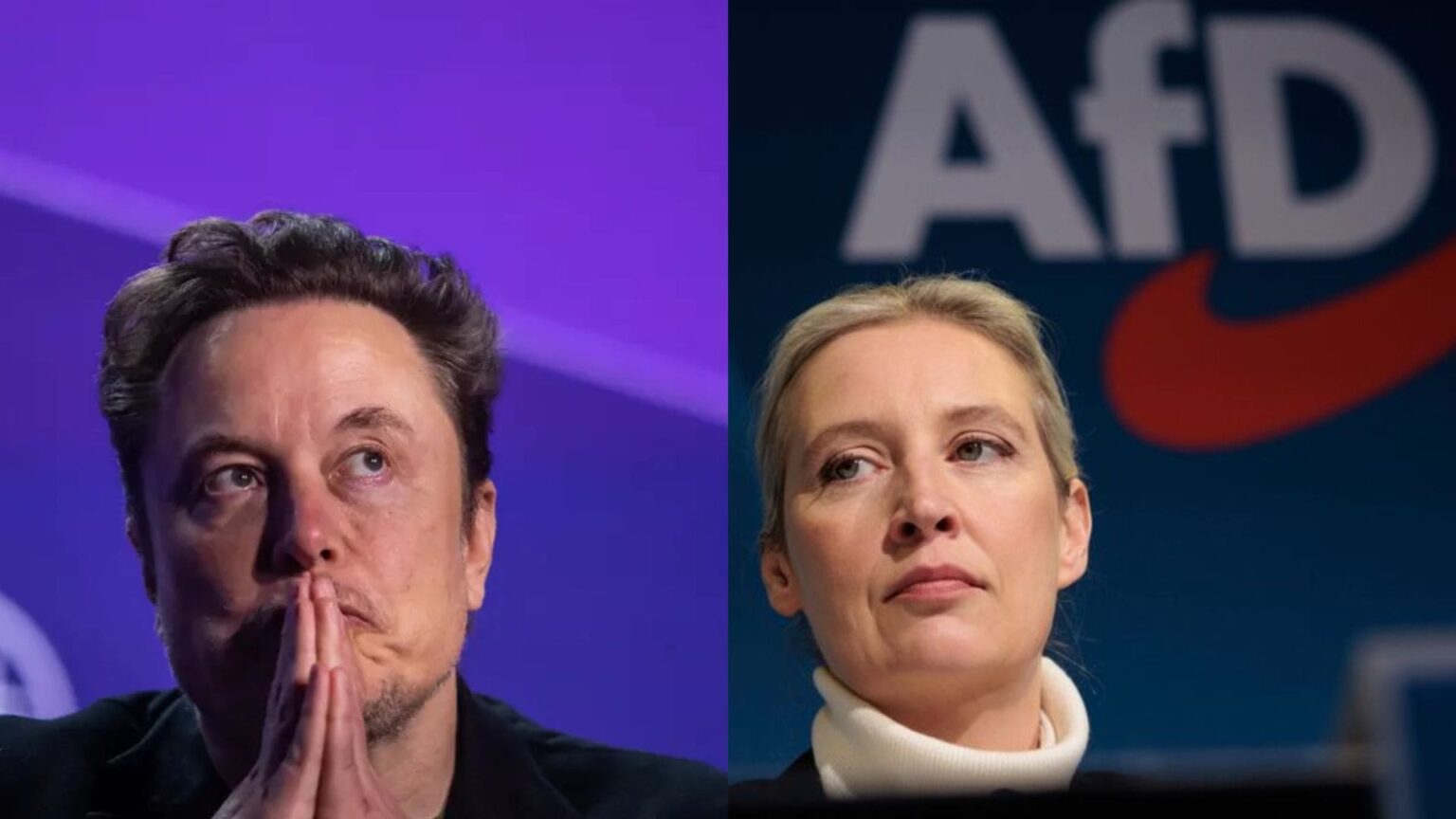 musk afd