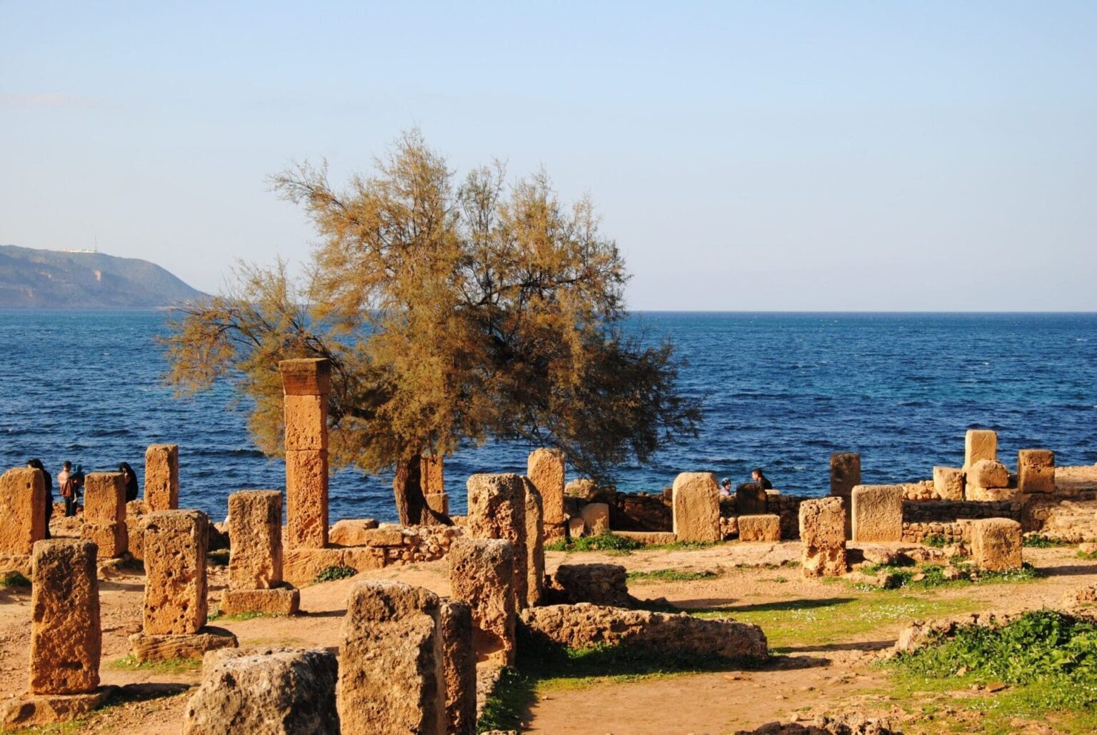 Tipaza