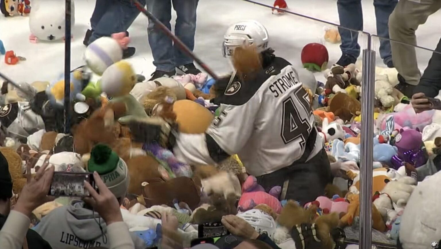 Hershey Bears vs Providence teddy bears toss