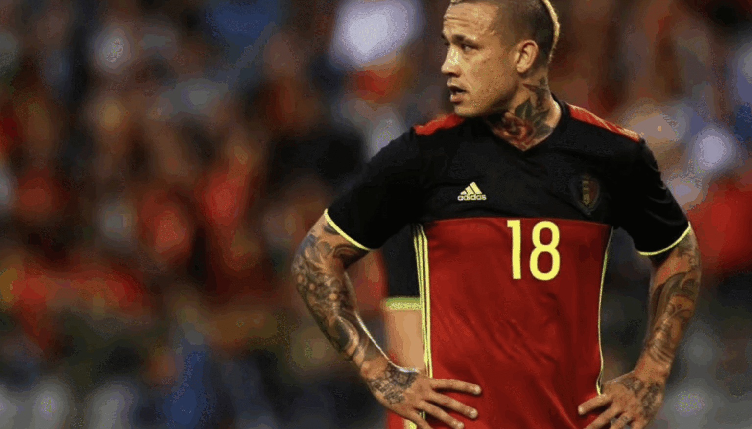 Radja Nainggolan