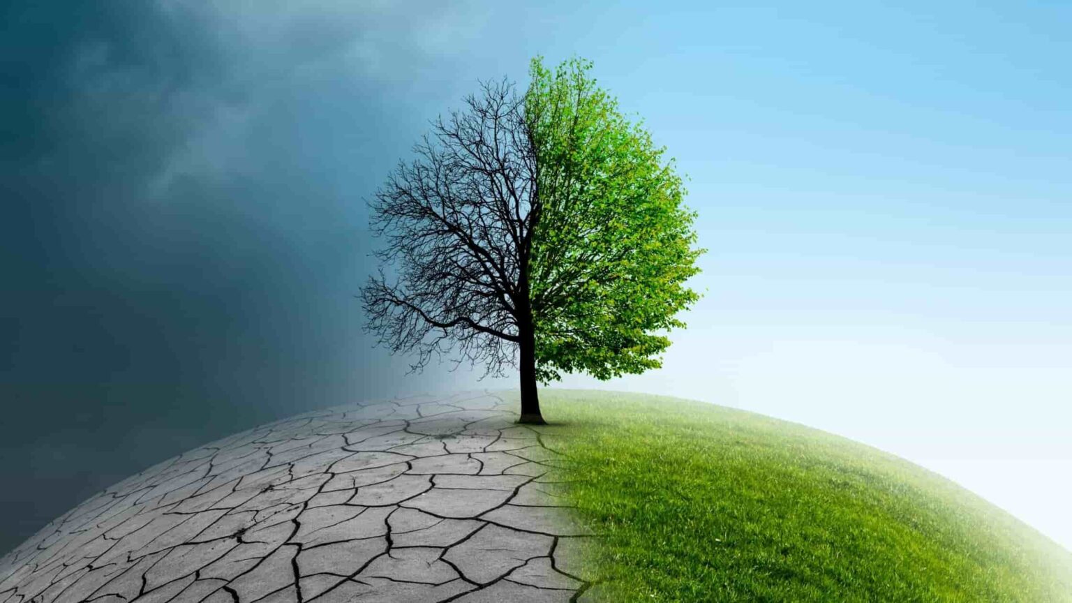 changement climatique