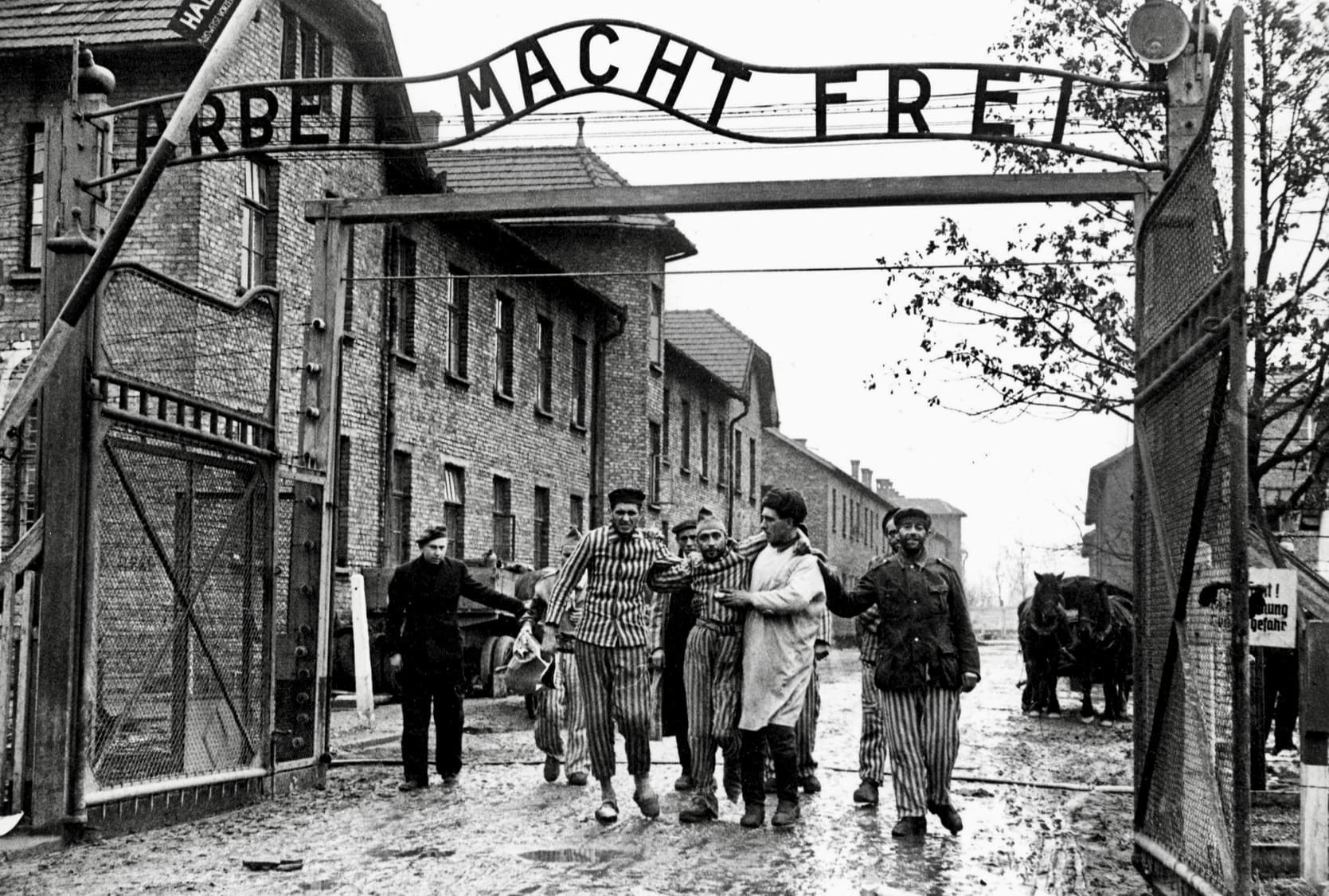 80e anniversaire de la libération d’Auschwitz: survivants et chefs d’État réunis ce lundi en Pologne