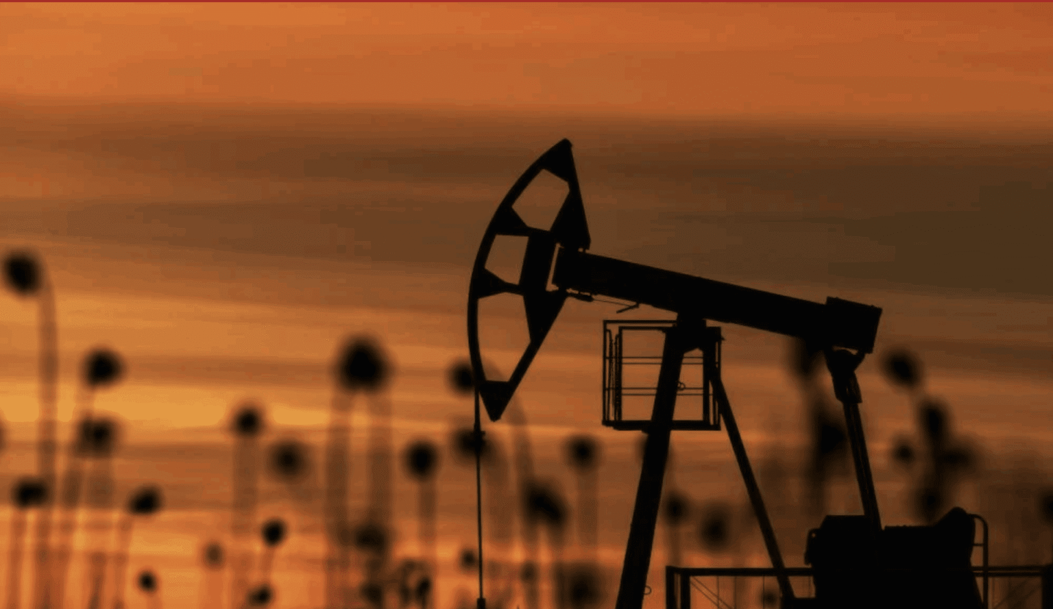 pétrole