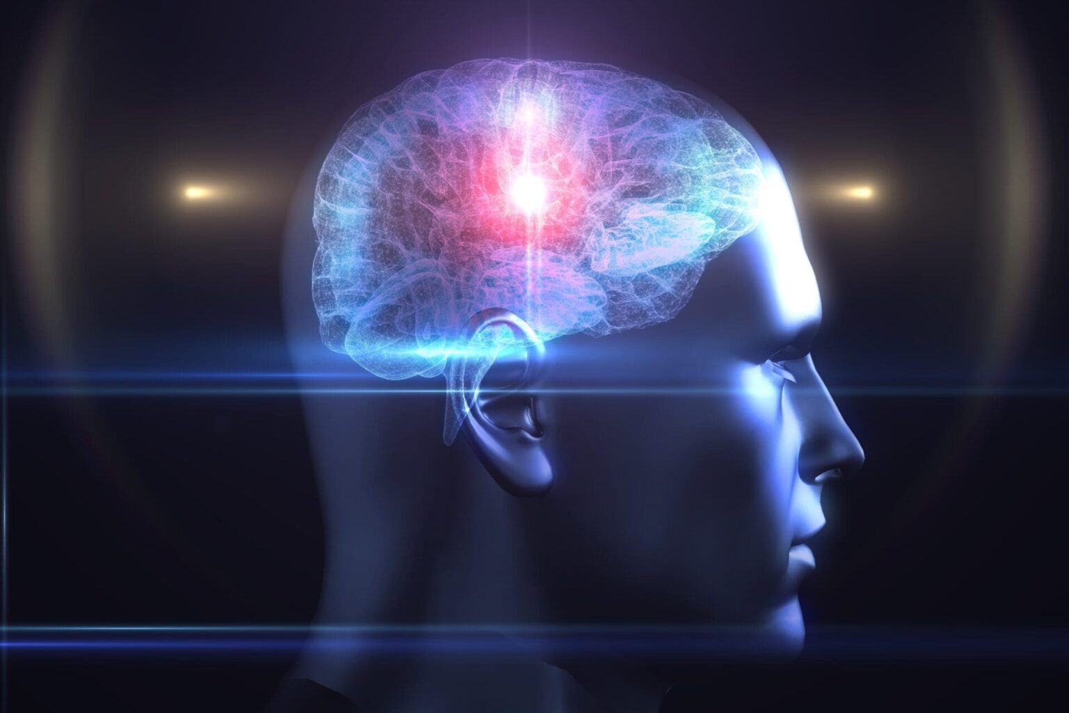 Brain diagram in human head