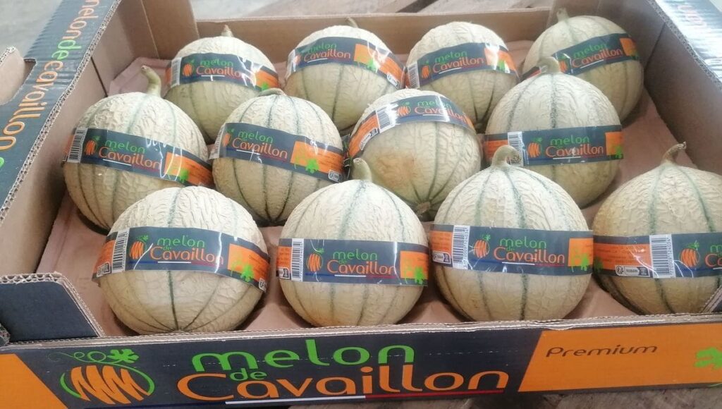 1200x680_sc_melons