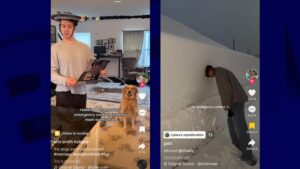 Les contacts d’urgence, des partenaires de vie pas si sérieux sur les réseaux-sociaux !