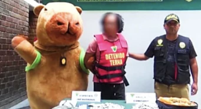 À Lima, un policier déguisé en capybara arrête un narcotrafiquant