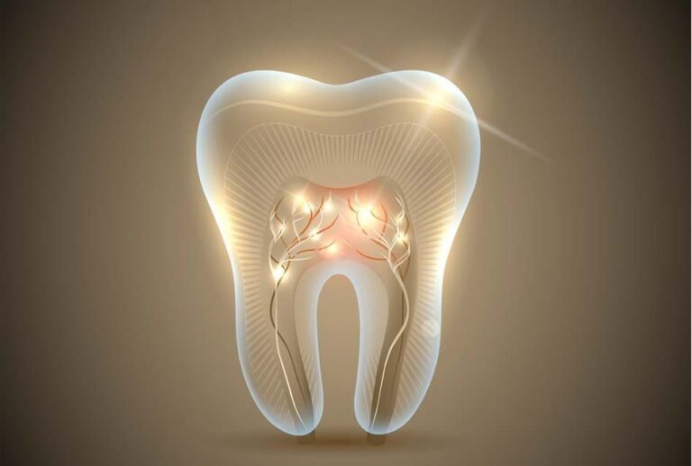 Des chercheurs créent des dents vivantes à partir de cellules humaines et porcines