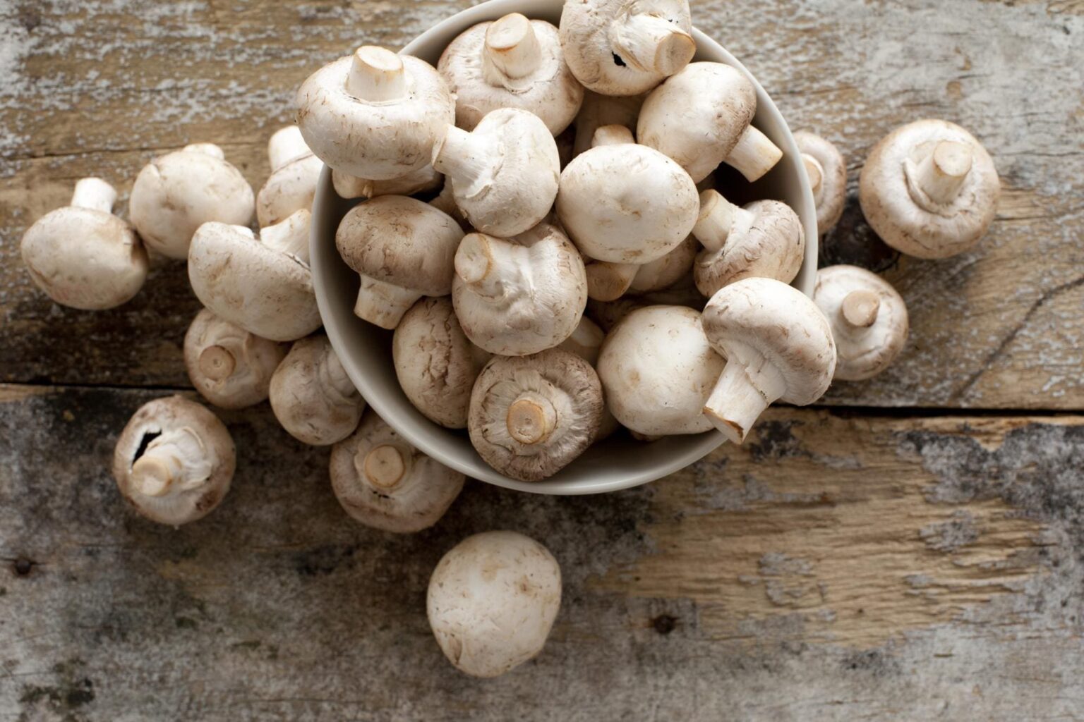 Étude – Le champignon, une arme efficace contre la grippe