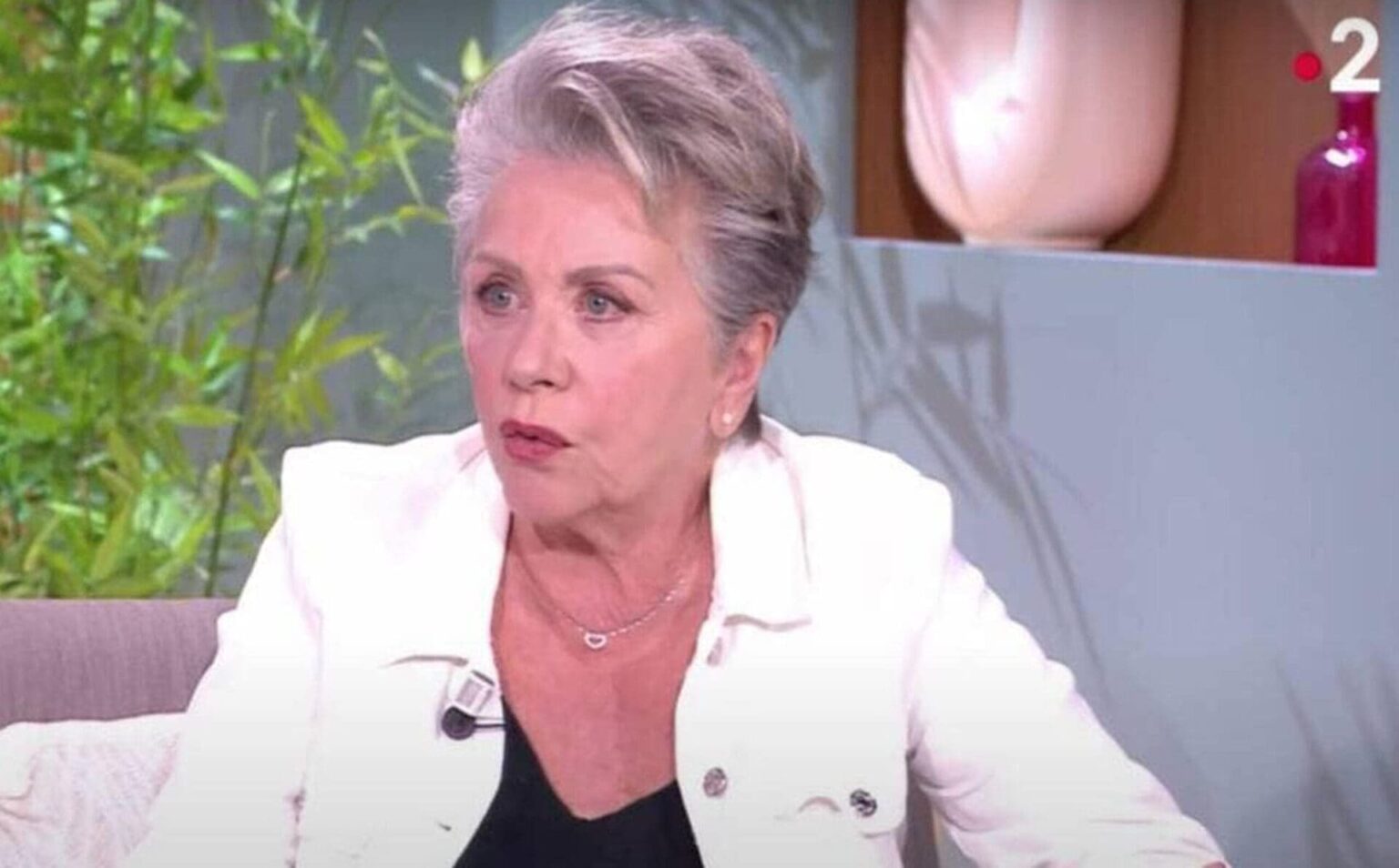 Françoise Laborde C8 Arcom Conseil d'État