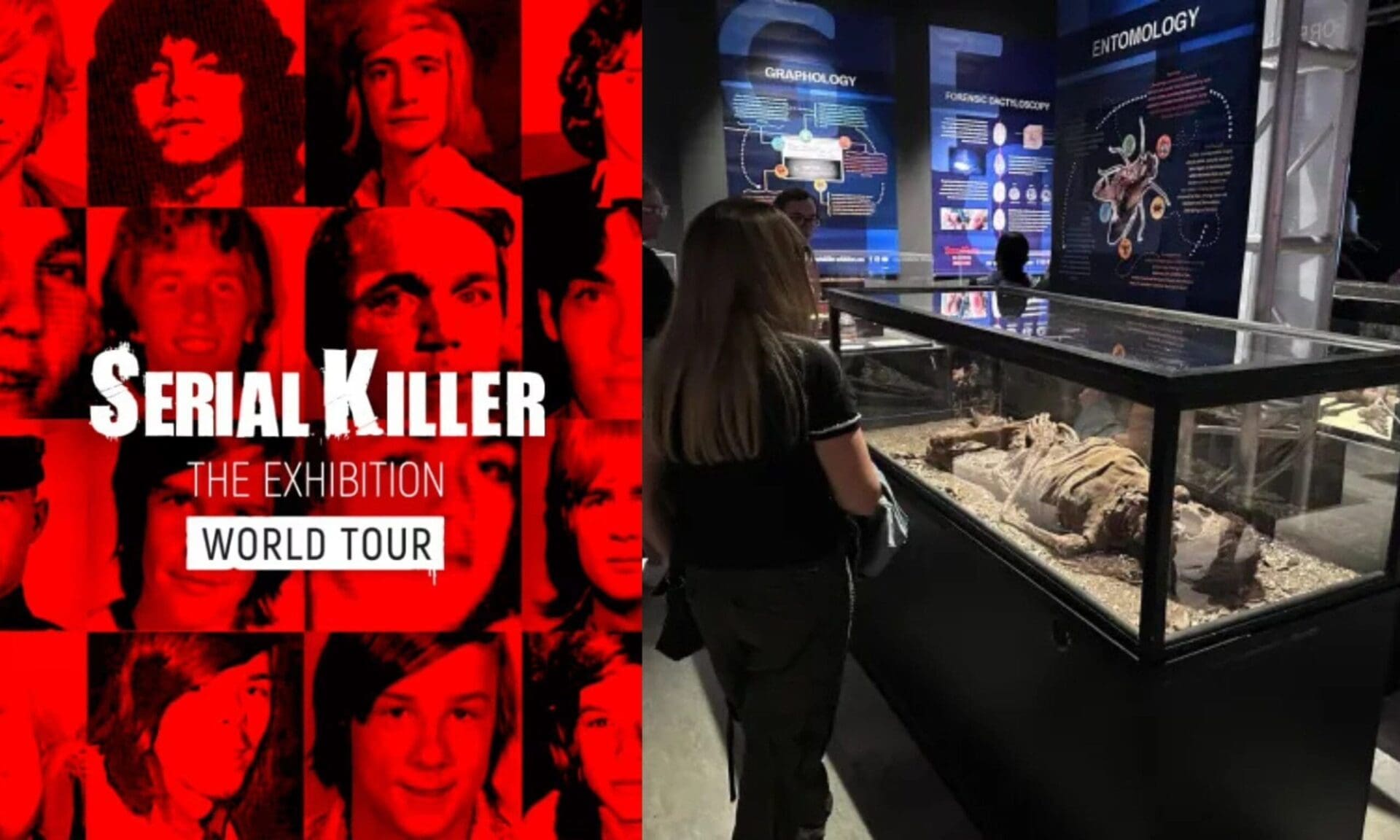 L’exposition Serial Killers à Paris : immersion glaçante dans l’univers des criminels les plus redoutés
