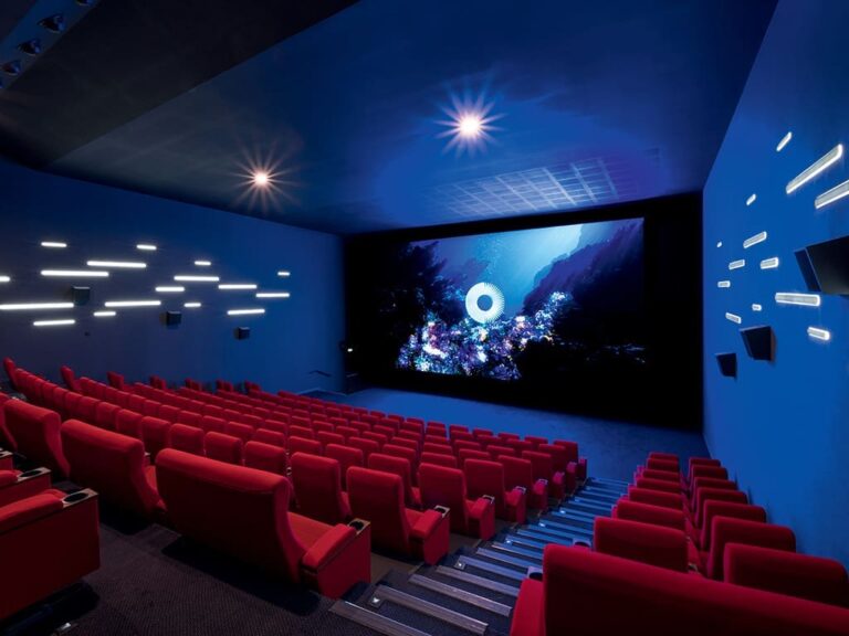 Le cinéma en France : une fréquentation stable mais freinée par le prix des billets