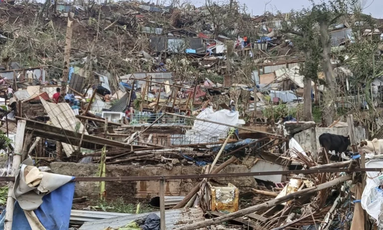Mayotte : la biodiversité fragilisée après le passage du cyclone Chido