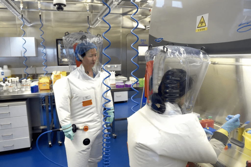 &lsquo;un nouveau virus du coronavirus chez des chauvessouris dans un laboratoire chinois