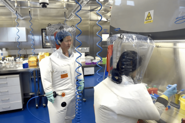 « Il ressemble à « Covid »… découverte d&rsquo;un nouveau virus du coronavirus chez des chauves-souris dans un laboratoire chinois »