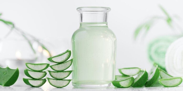 Le jus d’aloe vera: bien plus qu’un simple remède contre les coups de soleil