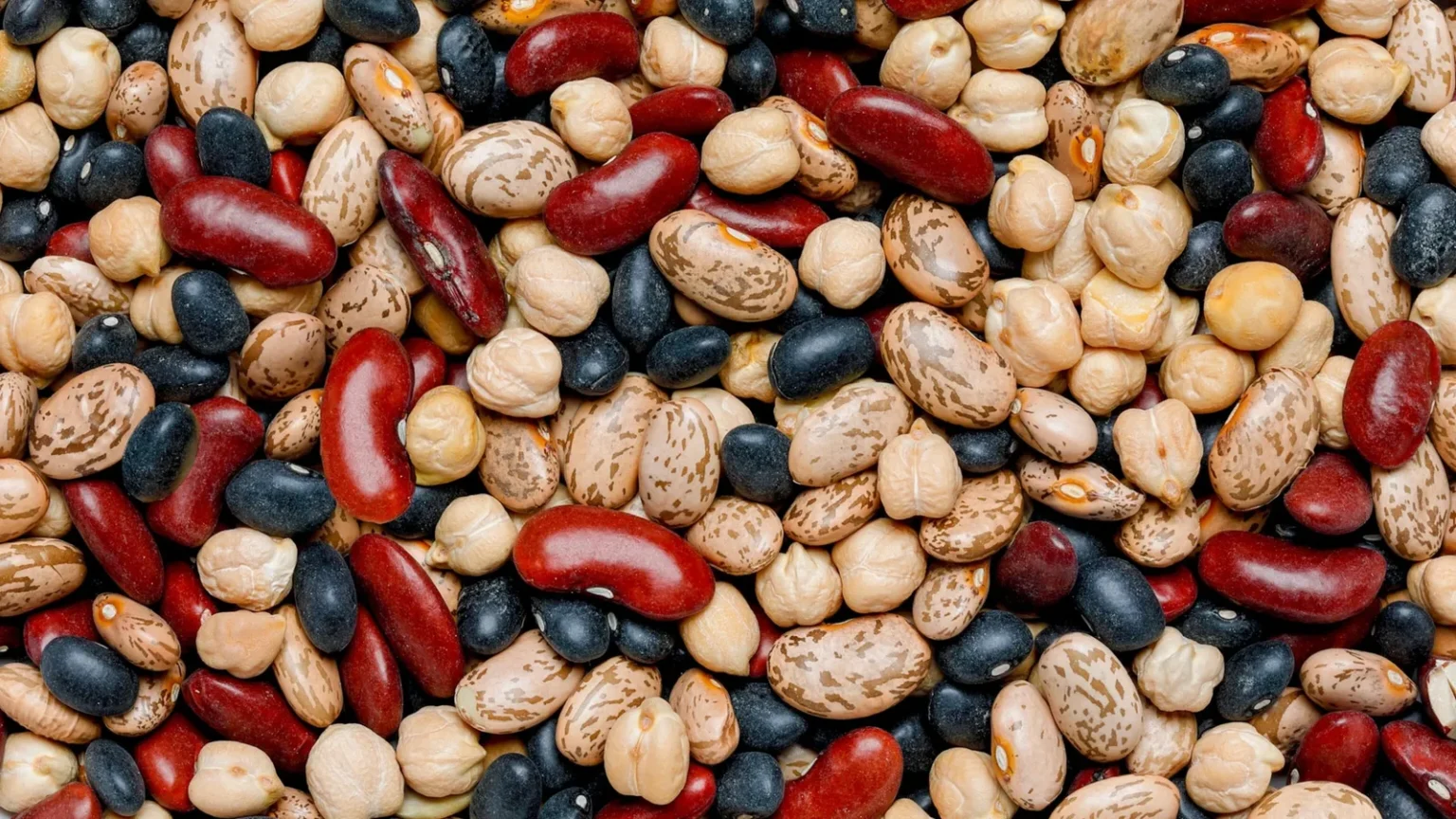 Les haricots- un super-aliment à consommer au quotidien