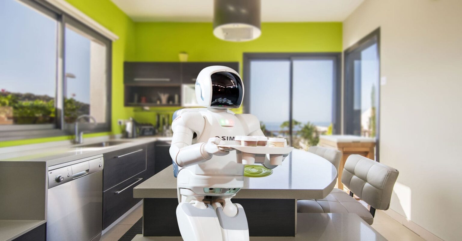 Les robots peuvent-ils devenir de véritables alliés à la maison ?