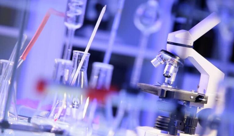 Lié au « Coronavirus »… Le laboratoire de Wuhan prévoit de nouvelles expériences « néfastes » sur les chauves-souris
