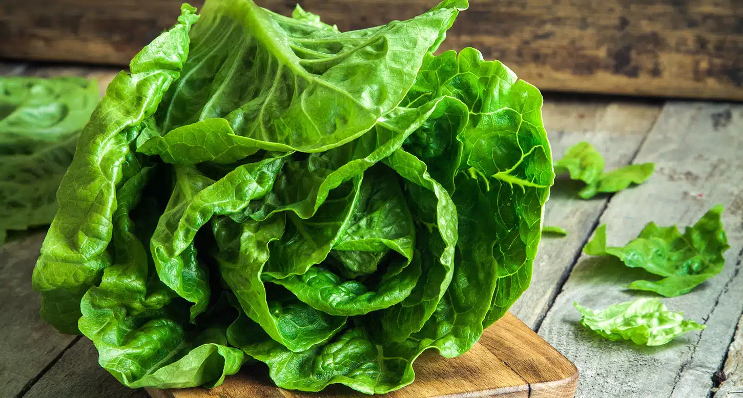Pour les personnes atteintes de diabète... "des bienfaits surprenants" de la laitue à découvrir