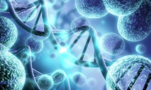 Produits favorisant l'activité et la vitalité cellulaire