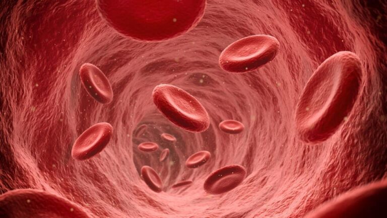 Un nouveau type de troubles de la coagulation sanguine
