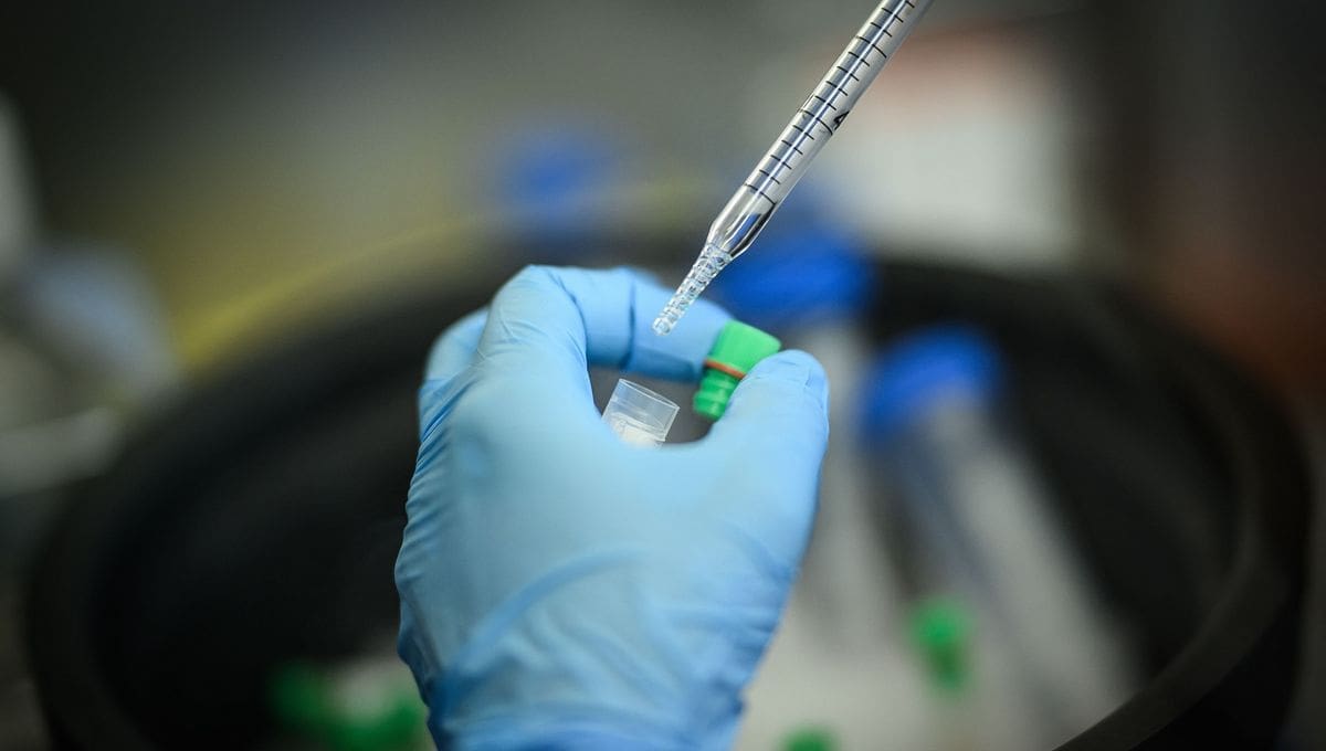 Un vaccin présente des résultats prometteurs pour le traitement du cancer du rein