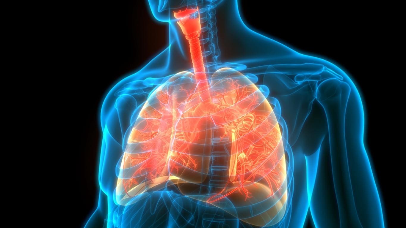 Une étude établit un lien entre la santé pulmonaire et certaines vitamines