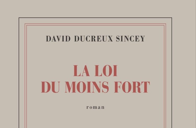 "La loi du moins fort" : premier roman coup de poing de David Ducreux Sincey