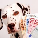 Un chien génère des milliers de dollars