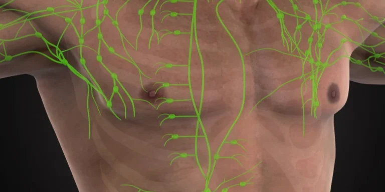 Attention à l'augmentation de la taille des ganglions lymphatiques