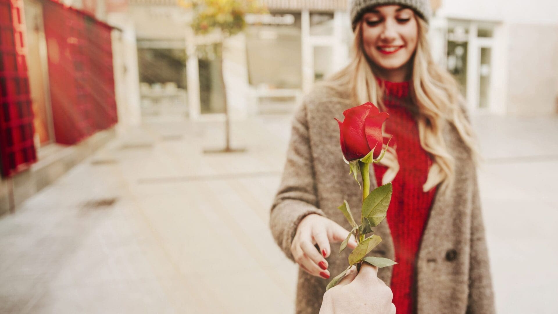 La véritable explication de l'attrait des roses rouges à la Saint-Valentin
