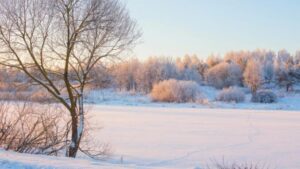 Un hiver chaud... un danger pour la santé !