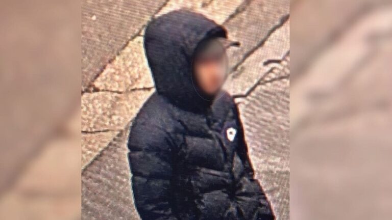 Meurtre de Louise: la petite sœur d’Owen L. avait déposé une main courante contre son frère pour violences